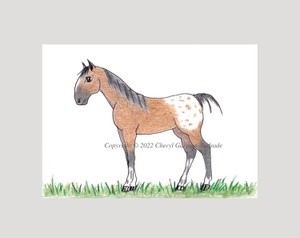 Appaloosa Horse ACEO