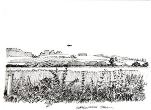 the other sneak away ink of Heron meadow