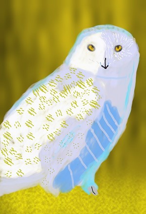  White Owl  P222