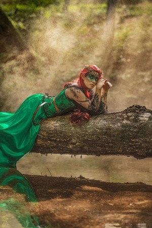 Where the Forest Breathes