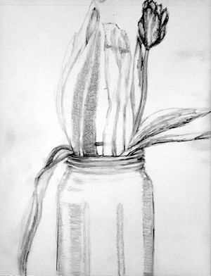 Tulip in Jar Sketch