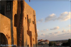 Nira Dabush Portfolio