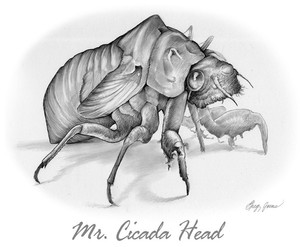 Mr. Cicada Head