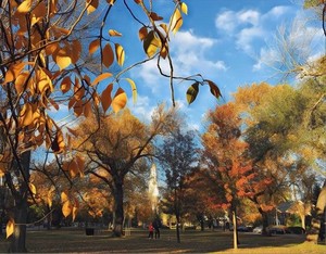 Fall on The Green