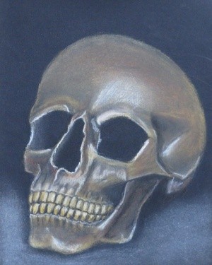 Skull