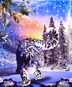 Snow Leopard Twilight