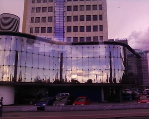 Tatjana Prelog Portfolio