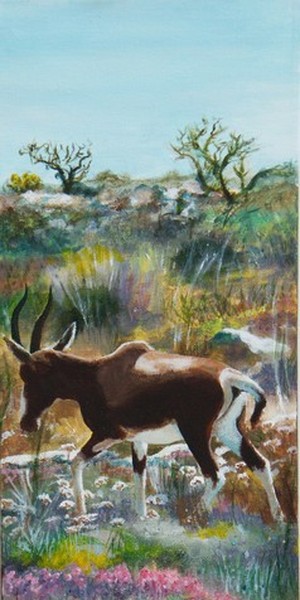 Bontebok didn't notice