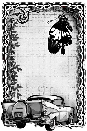-Butterfly Car-