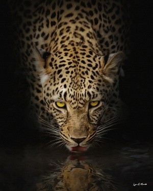 Out Of The darkness