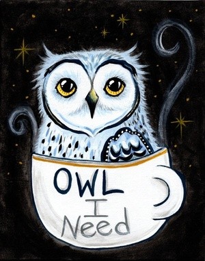 Owl I Need 