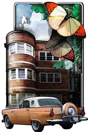 -Butterfly car(7)