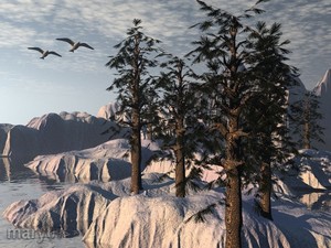 Winter Trees