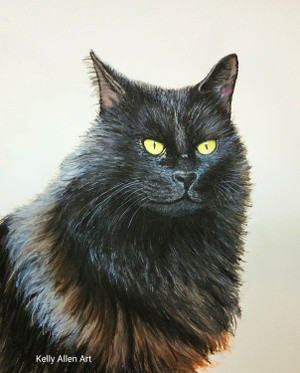 Fancy, the black cat