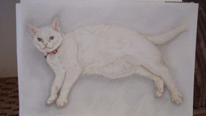 White cat