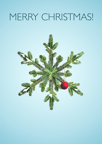 Christmas Snowy Pine Snowflake