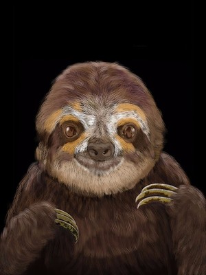 Happy Sloth Portrait