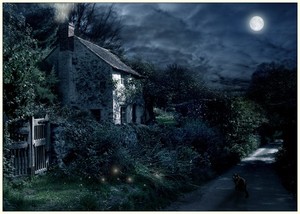 The Witches House
