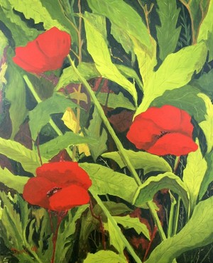 Poppies