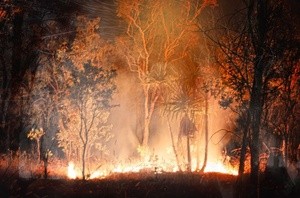 Prescribed burning in the Northern Territory (NT) 2.