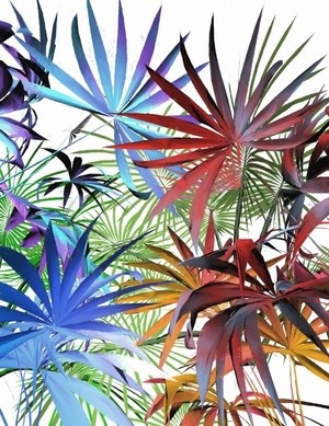 Tropical Foliage 6