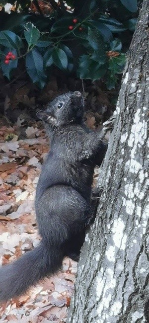 The world is a good place