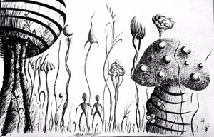 You and Me among Shrooms