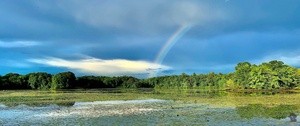 Rainbow Over Water