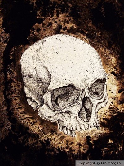 skull study No.6