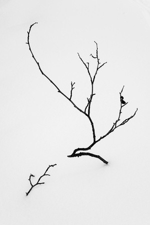 Martin Vorel