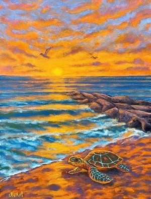 Turtle Sunset