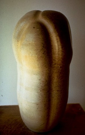 Large Organic Form