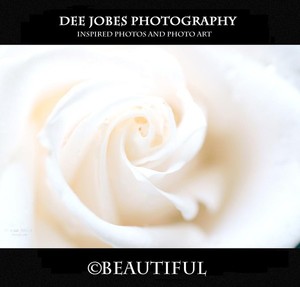 DEE JOBES PHOTOGRAPHY Portfolio