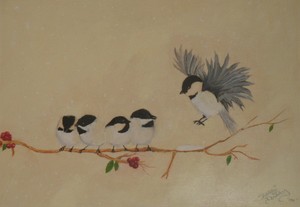 Chickadee's