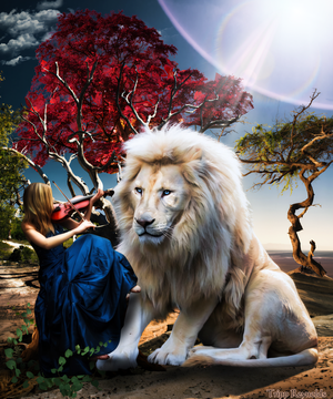 Hosannah to the King 