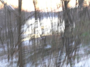 Disturbed Mind