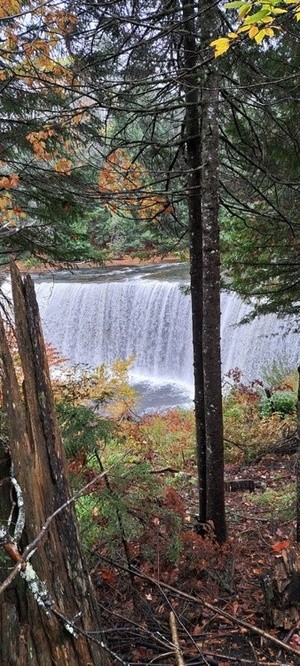TAHQUAMENON FALLS  U. P. OF MICHIGAN.