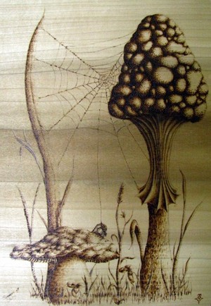 Spider and Shroom