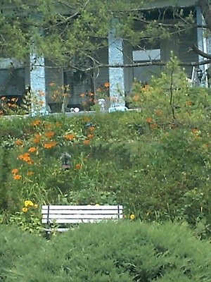 Picture from camera 019