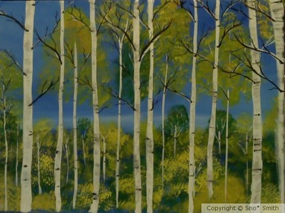 Birch trees