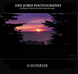 DEE JOBES PHOTOGRAPHY Portfolio