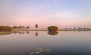 Sunrise Over Yellow Water Billabong