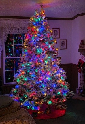 WINDOW REFLECTION OF MY TREE