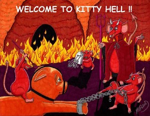 Welcome To Kitty Hell!