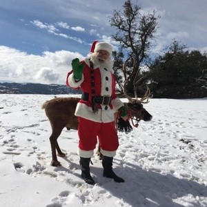 redsledsanta with reindeer