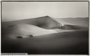 Death Valley Dunes No.2