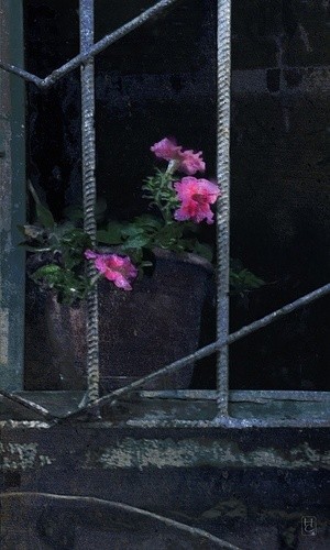at dusk