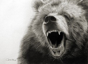 Gizzly bear roar