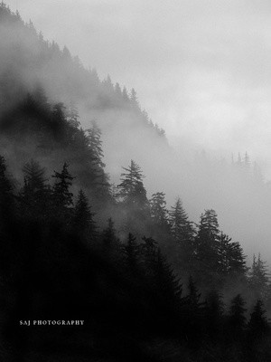 Moody day in Juneau