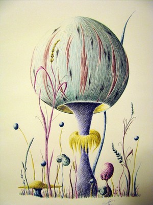 Mushroom with a Collar